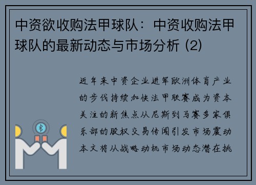 中资欲收购法甲球队：中资收购法甲球队的最新动态与市场分析 (2)